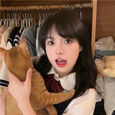 愤怒的公牛